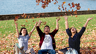 Group of students throw leaves into the air