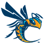 SSC