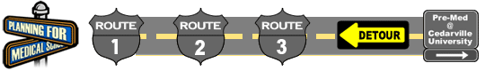 Detour