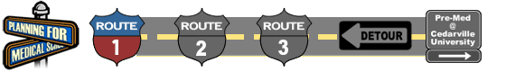 Route 1