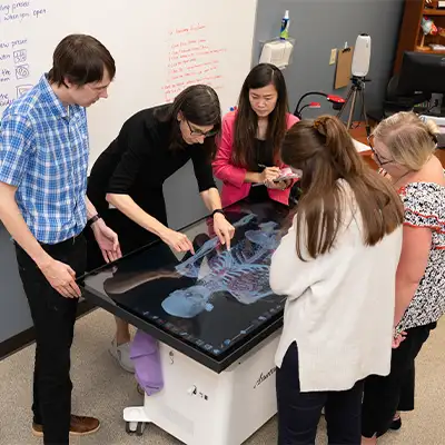 students and professors gathered around a digital cadaver in Cedarville's anatomage lab