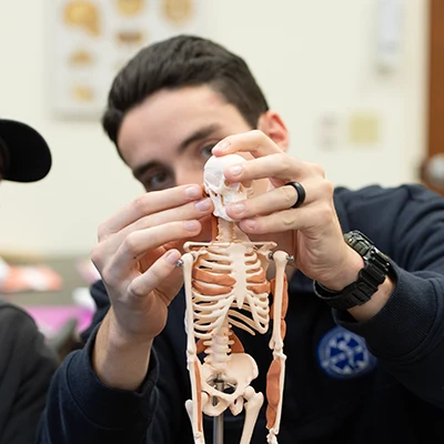 Male student working in a lab with a model human skeleton.