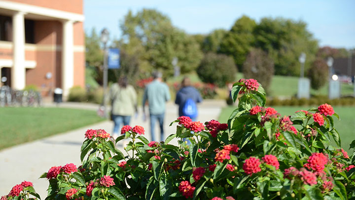 Red Zinnia flowers in full bloom on campus, students walking in the background.