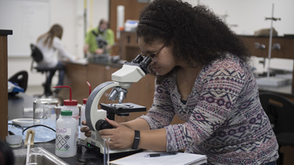 Cedarville student looking in microscope