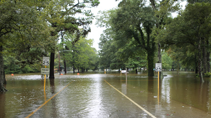 Image of Harvey flooding