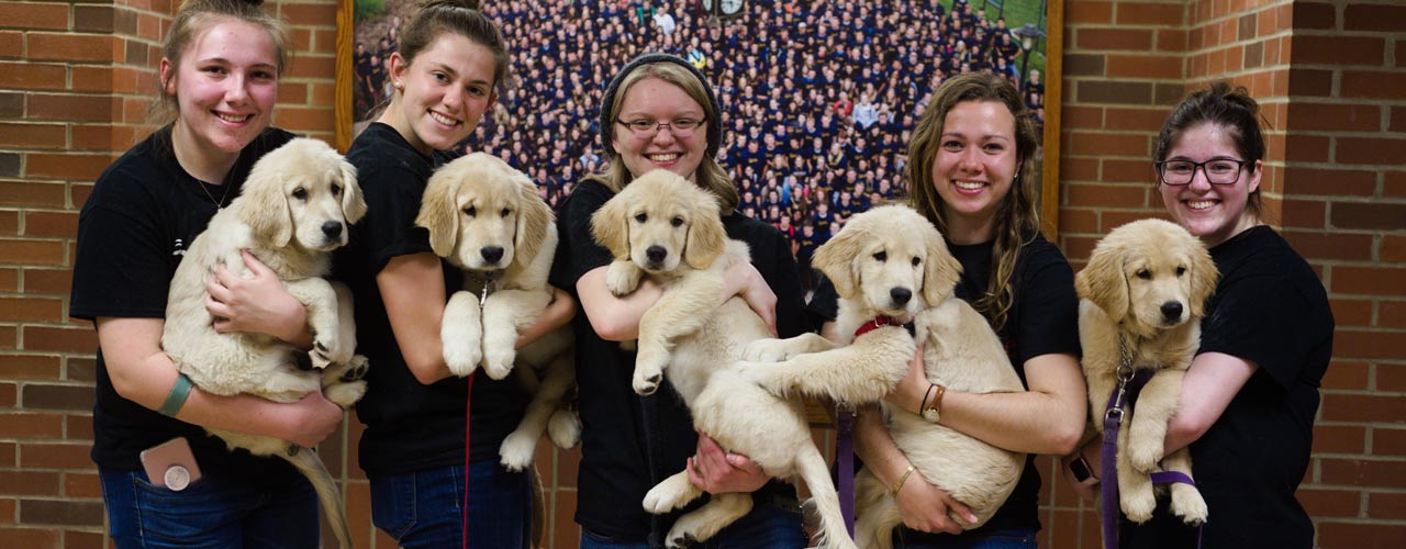 4 Paws For Ability at Cedarville spring 2019