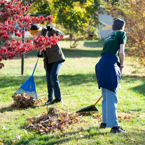 Two students raking leaves during CU in Community 2019