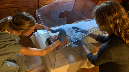 Aerosol box demonstrated