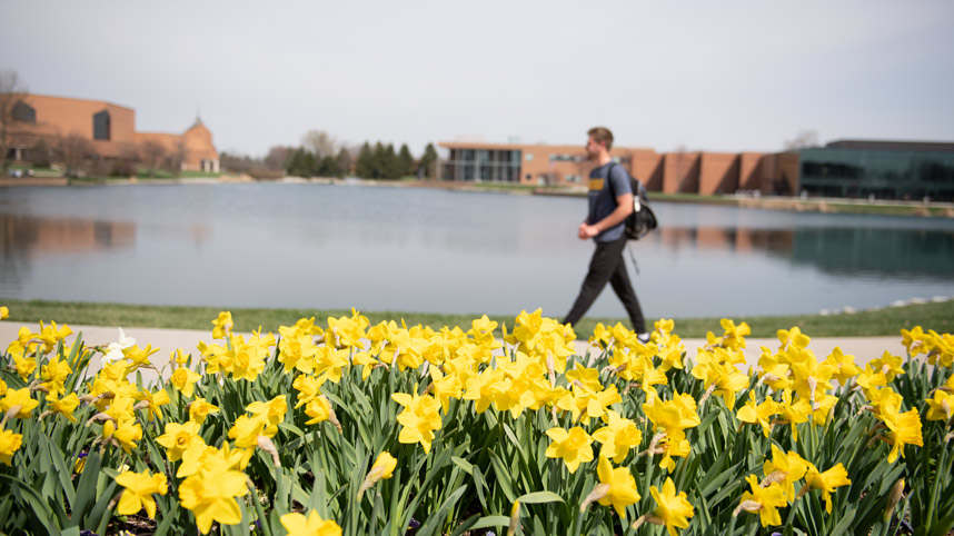 Student walking past daffodils with Cedar Lake, Dixon Ministry Center and the School of Biblical and Theological Studies in the background