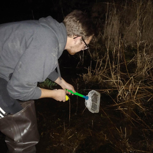 Carson Gehman looking for frogs