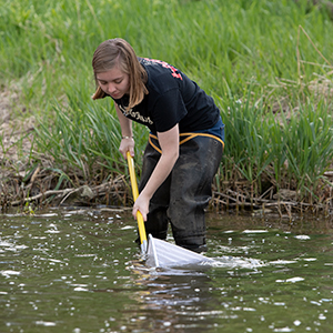 Student with a strainer net in Massie Creek