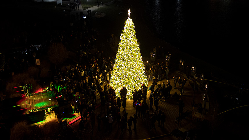 The 2019 Christmas tree lit up at night and surrounded by students
