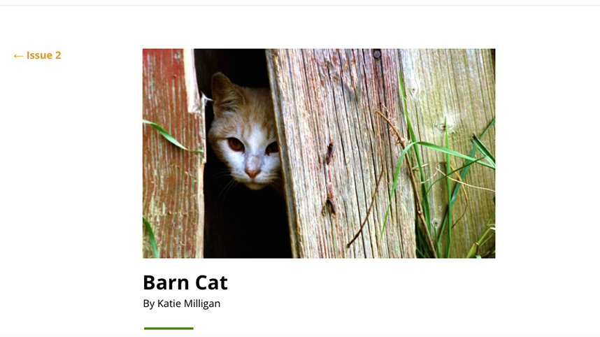 2021 alumna Katie Milligan’s “Barn Cat,” published in “The RoadRunner Review,” is shown.