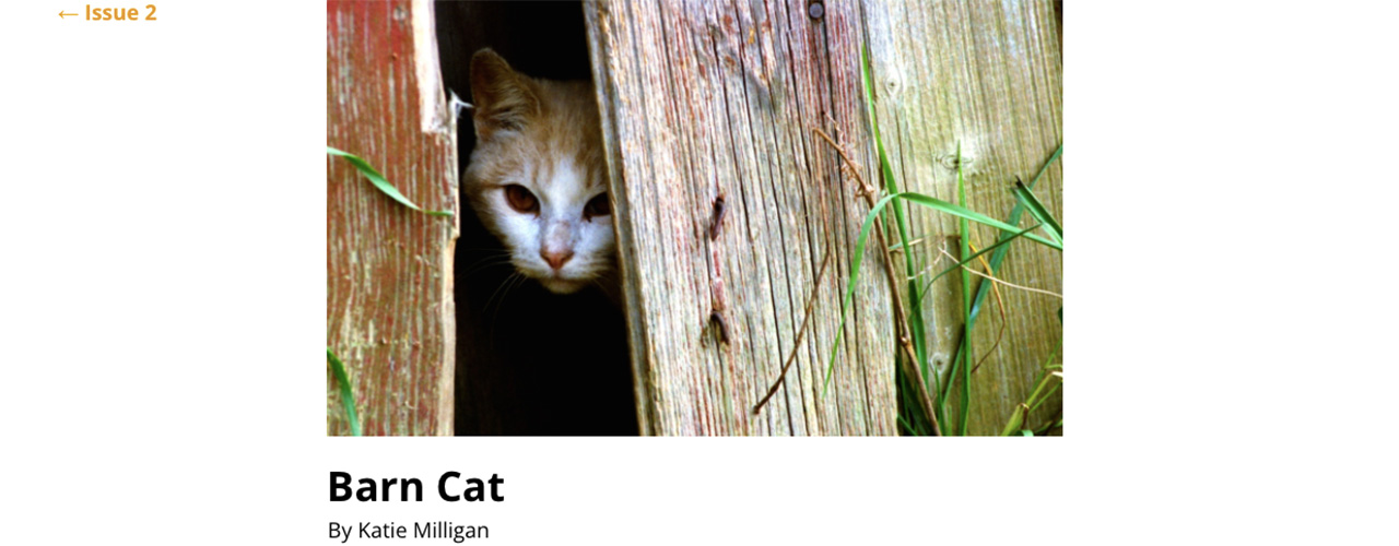 2021 alumna Katie Milligan’s “Barn Cat,” published in “The RoadRunner Review,” is shown.