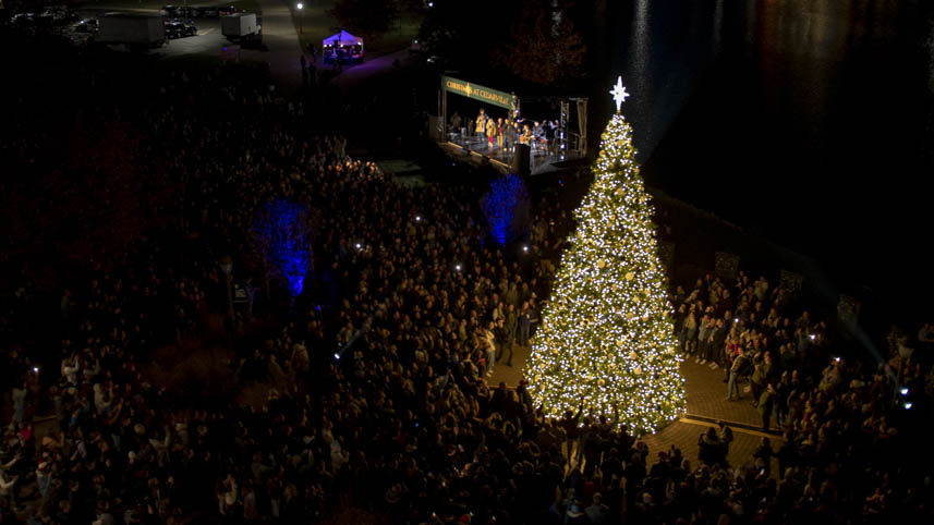 Lit Christmas tree at Cedarville University