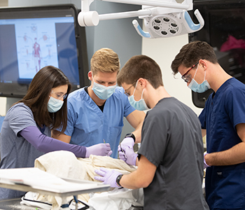 Students examining a cadaver in the cadaver lab