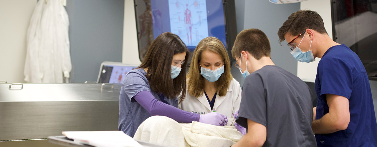 Dr. Melissa Burns guides students during a dissection in the cadaver lab