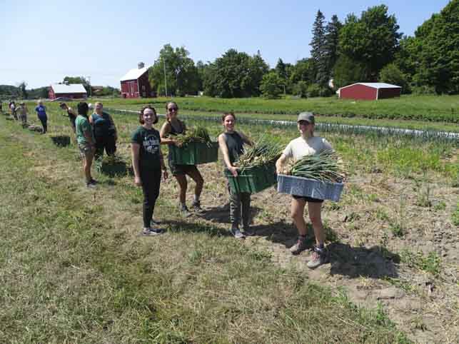 Agricultural students conducting research in a field.