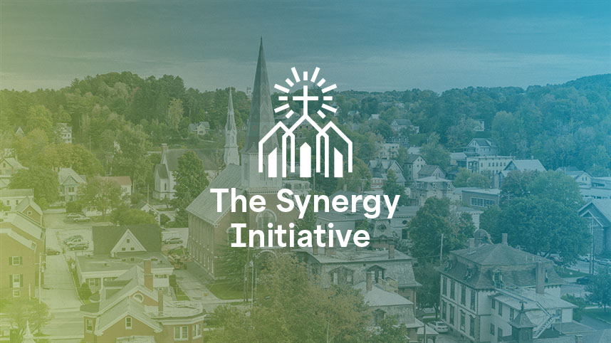 The Synergy Initiative Logo.