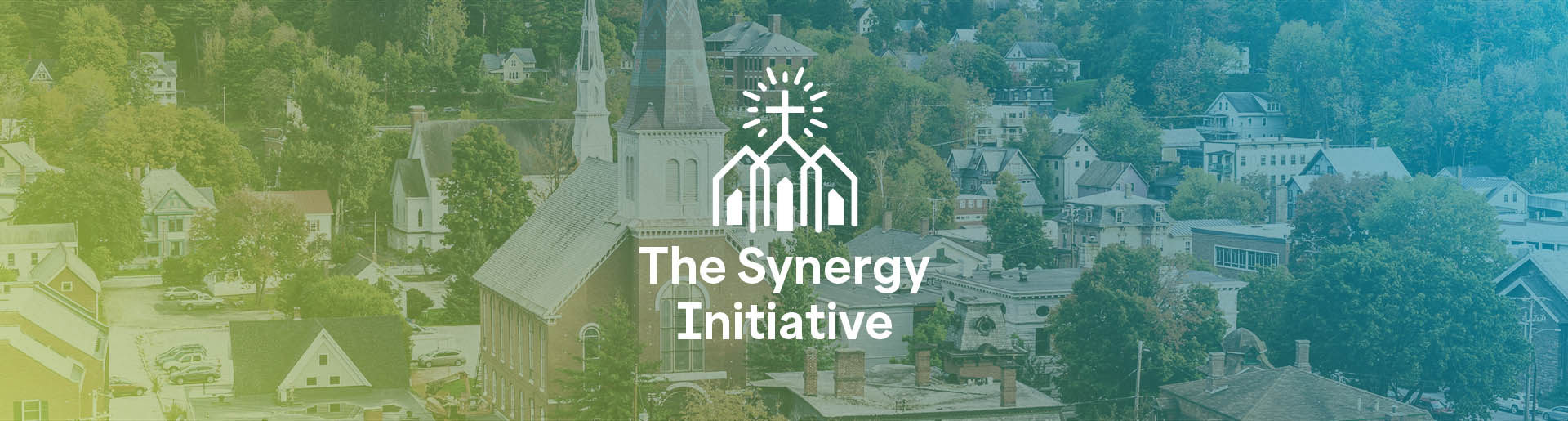 The Synergy Initiative Logo.
