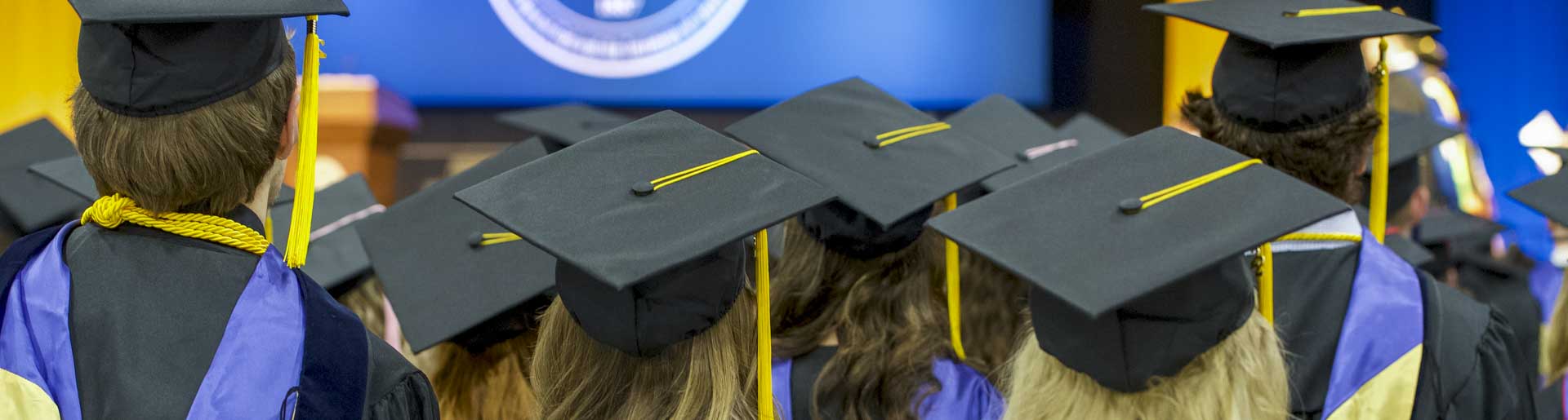 Perfect Placement Rate Among Nine Departments Cedarville University