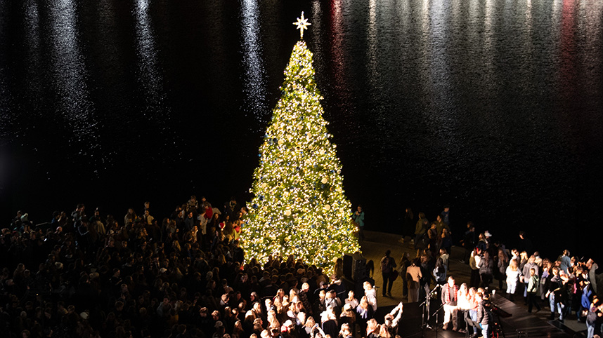 Campus Christmas tree.