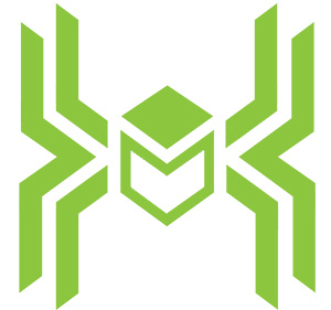 CyberWeb Services green spider logo.