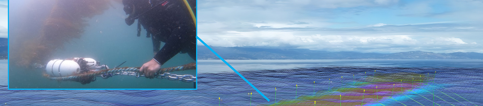 Offshore seaweed farm with inset photo of diver.