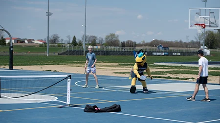Outdoor pickleball and basketball court