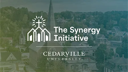 synergy initiative logo