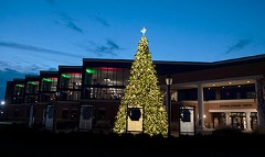 Christmas tree outside the Stevens Student Center