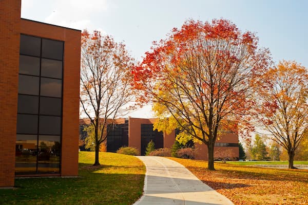 Fall at Cedarville
