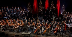 Orchestra at Christmas Concert