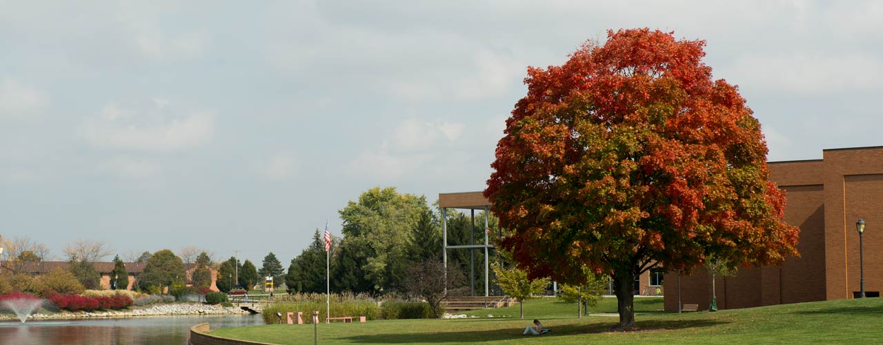 A fall tree on Cedarville's campus