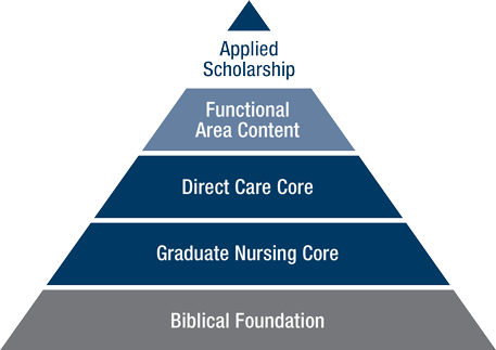 Diagram of the progression and increasing specificity of course studies in MSN as represented by a pyramid.