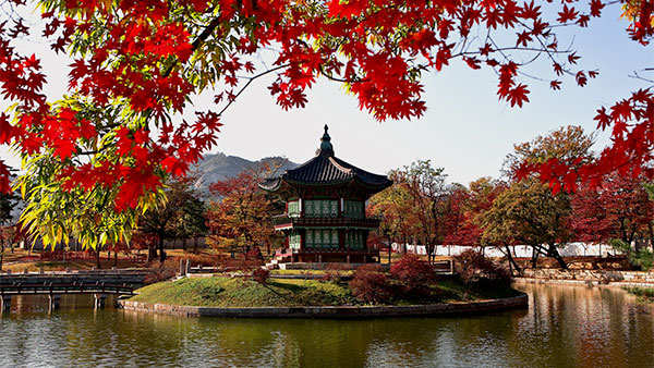 South Korean architecture set by a pond.