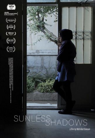 Sunless Shadows poster