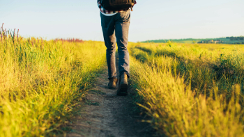 A man walks down a narrow path surrounded by green fields.