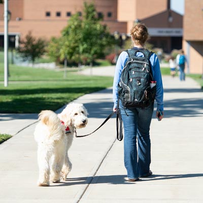 picture of female student walking with service dog while dog looks at the camera