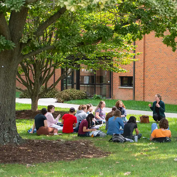 Students sitting outside under the shade of trees