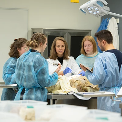 Professor instructing students in an anatomy lab.