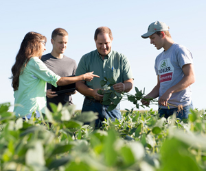 Dr. Robert Paris and students on soybean research farm